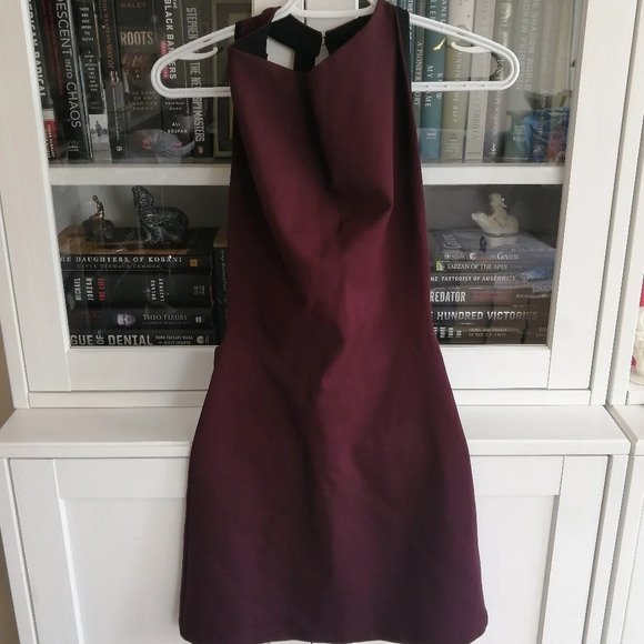 Urban Outfitters Wine Purple Cowl Neck Bodycon Mini Dress with Plunging Back XS - Picture 13 of 16